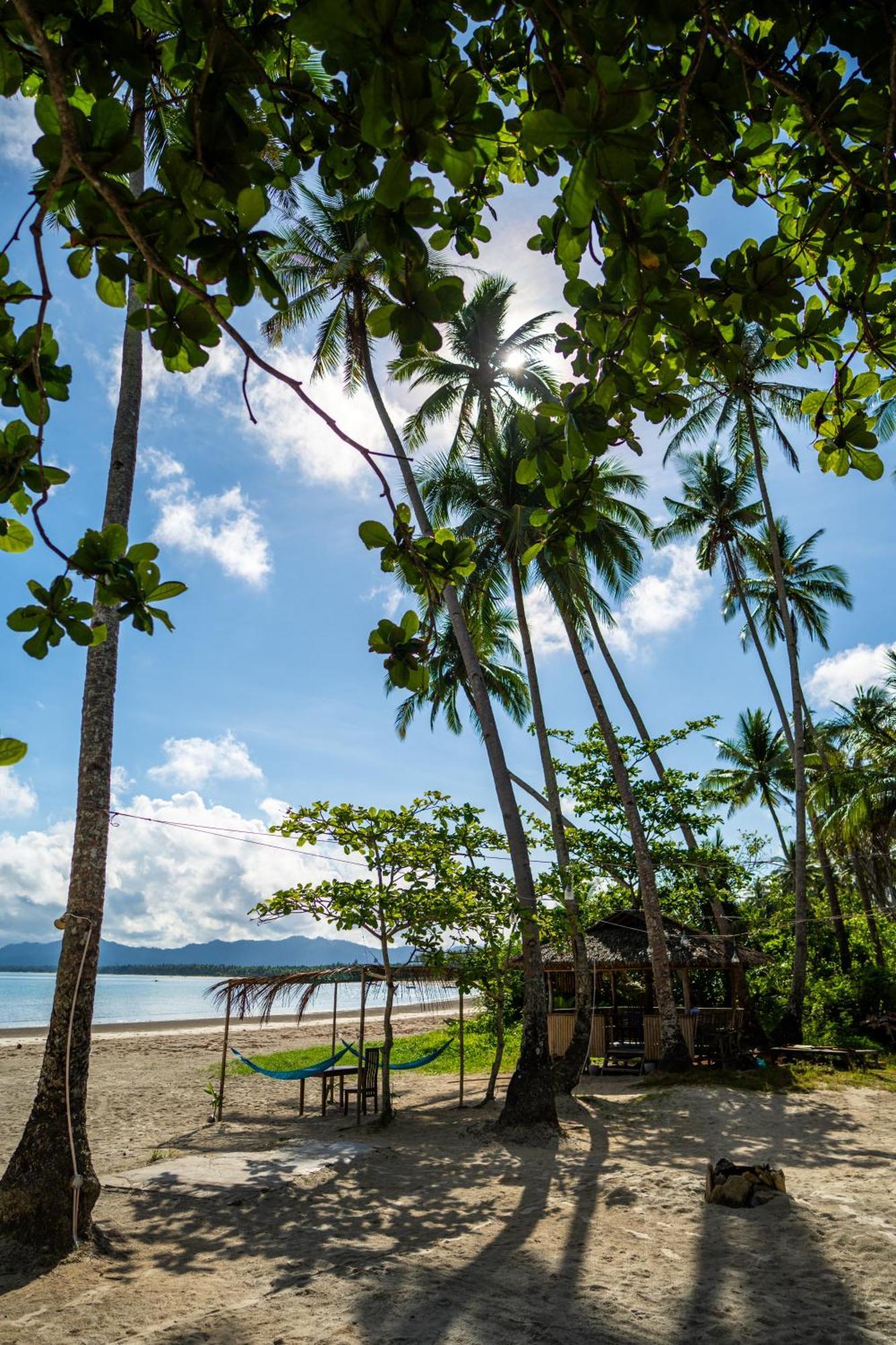Amihan Beach Hostel San Vicente (Palawan) Exterior foto